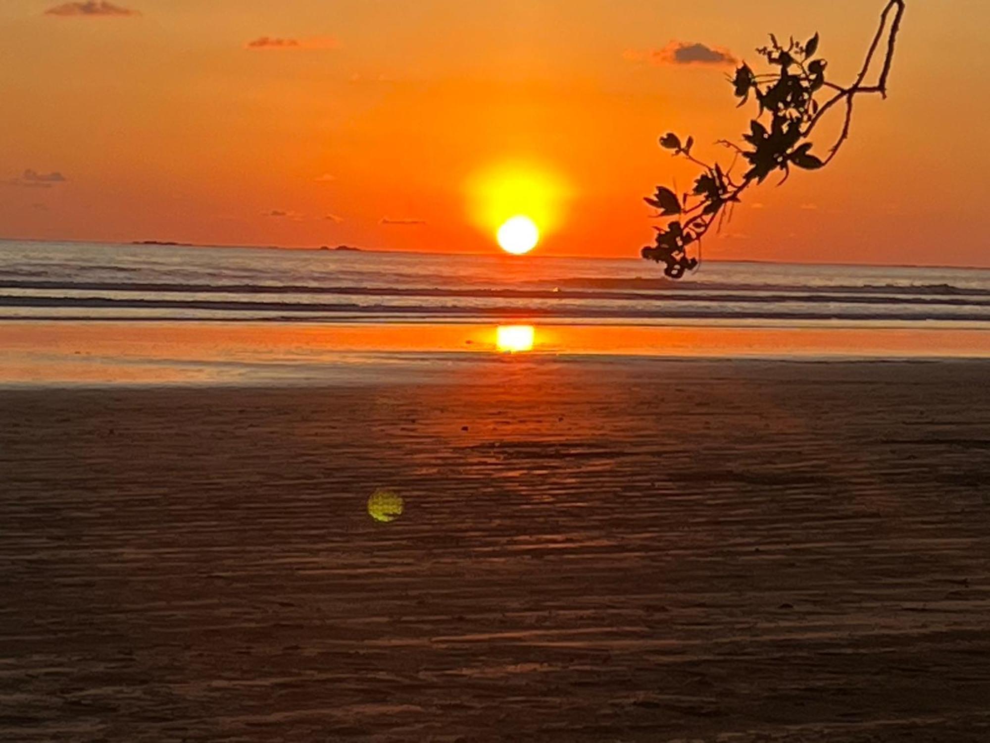 Cabana Valfio Bahia Ballena Uvita Zewnętrze zdjęcie